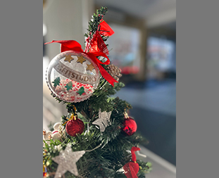 Porque é que deves começar ANTES do Natal e não depois